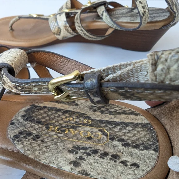 Coach Snake Print Sandals with Gold Accents - Picture 8 of 12